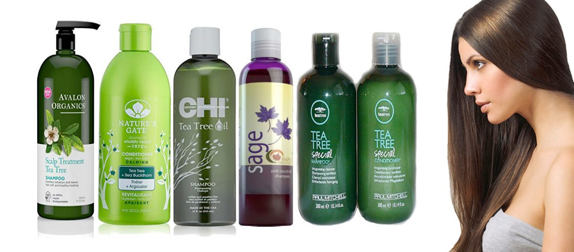 Best Tea Tree Shampoos of 2024 for Itchy Scalp and Dandruff