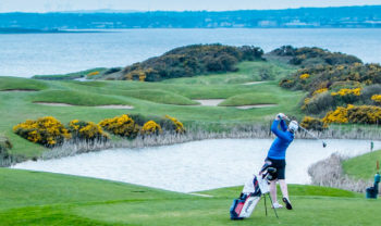 Best Golf Gloves for Grip and Performance!