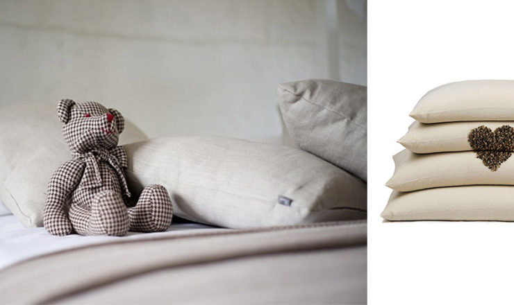 Sobakawa/Buckwheat Pillow – Best Brands & Types to Buy in 2024!