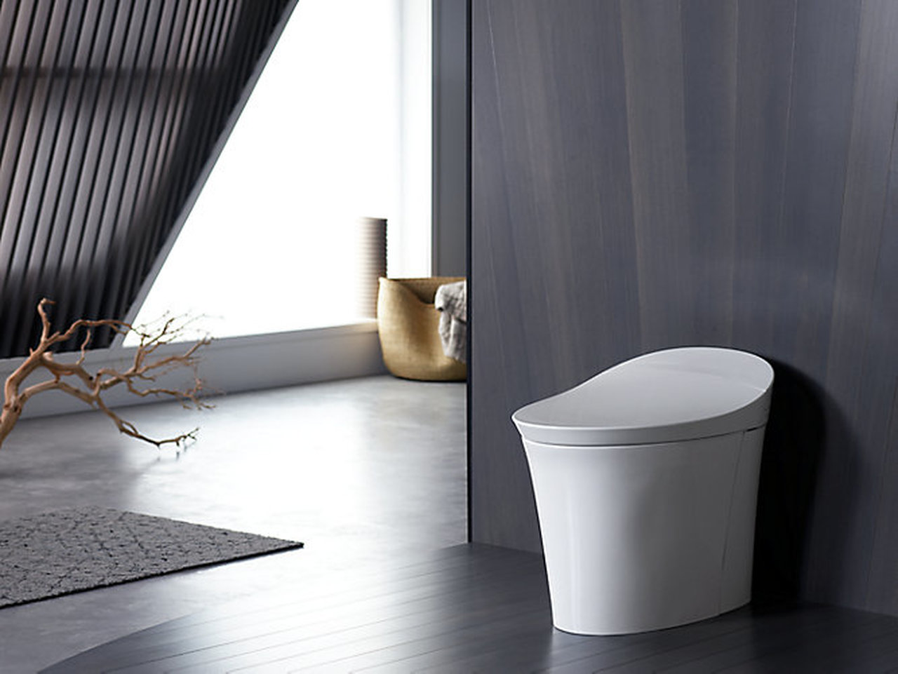 Kohler Toilet, Smart Toilet