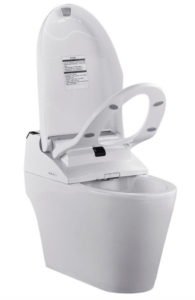 ProStock Electronic Bidet With Integrated Toilet