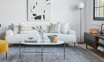 Unique Sofas & Couches for Any Space!