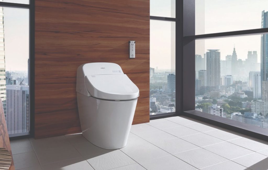 Best Bidet Toilet Combos Of 2024 - Here's Our Favorite Pick!